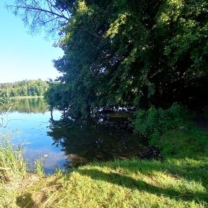 Jezioro Kursko - plaza nad jeziorem kursko 9