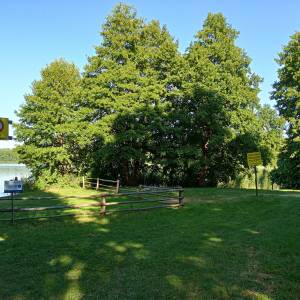 Plaża nad Jeziorem Kursko - plaza nad jeziorem kursko 5