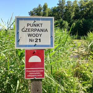 Jezioro Trzebisz - jezioro trzebisz 7