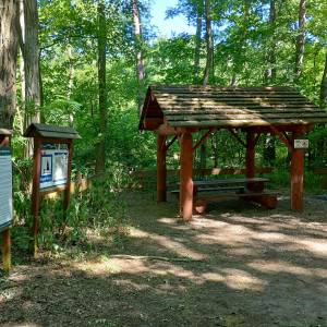 Wiata turystyczna w Kursku - wiata turystyczna w kursku 4