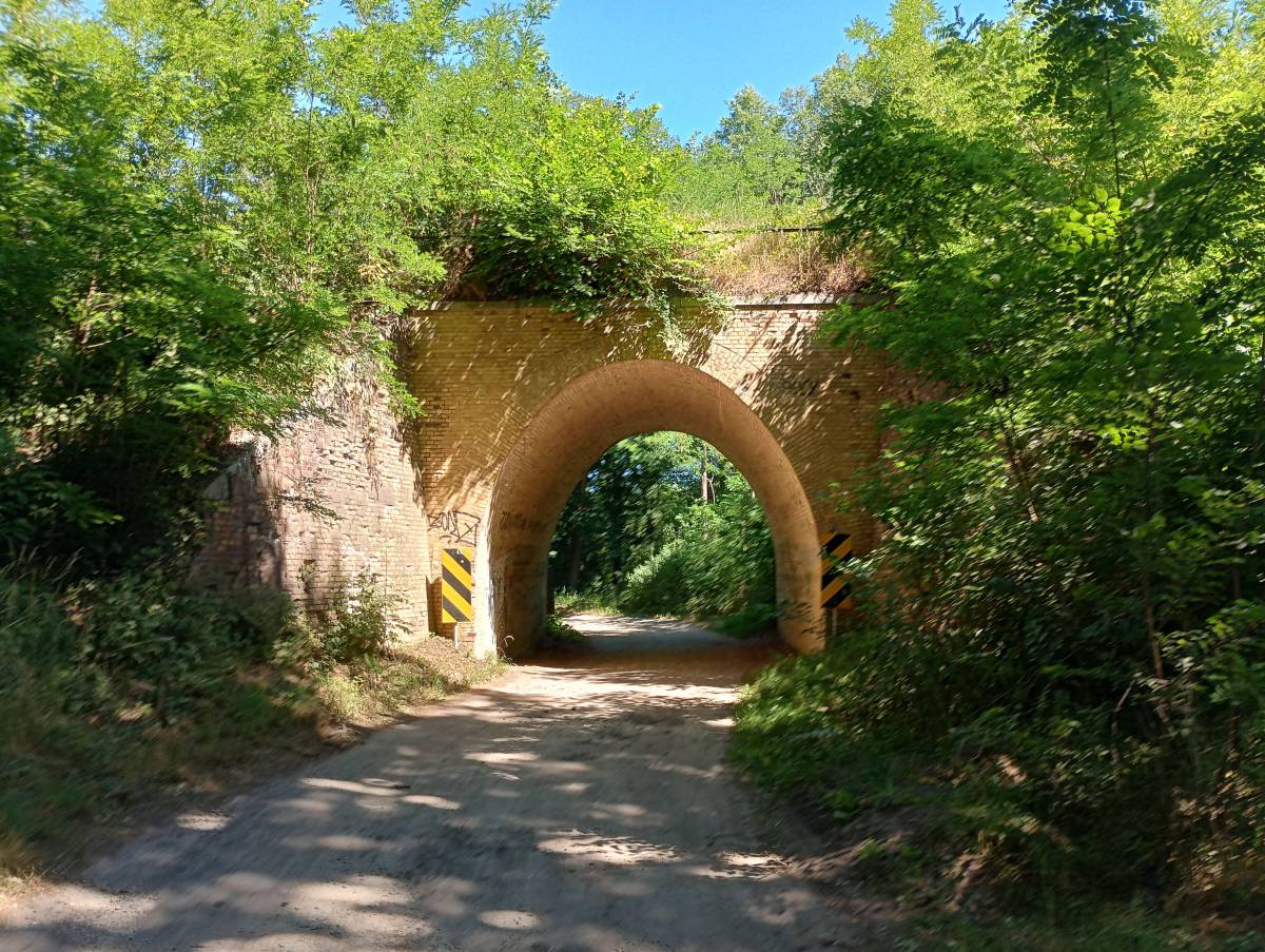 Wiadukt kolejowy w Kursku - wiadukt kolejowy w kursku 2025 1