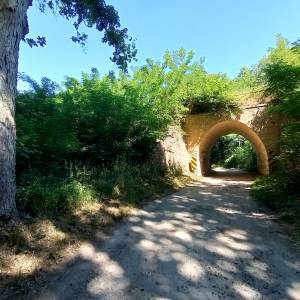 Wiadukt kolejowy w Kursku - wiadukt kolejowy w kursku 2025 4