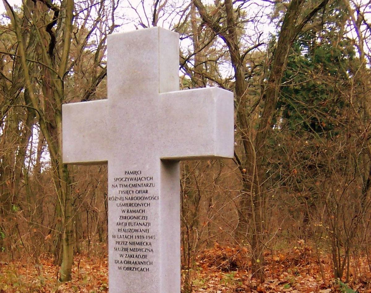 Cmentarz w Międzyrzeczu-Obrzycach - cmentarz w miedzyrzeczu obrzycach 3