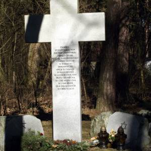 Cmentarz w Międzyrzeczu-Obrzycach - cmentarz w miedzyrzeczu obrzycach 1