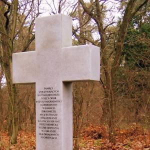 Cmentarz w Międzyrzeczu-Obrzycach - cmentarz w miedzyrzeczu obrzycach 3