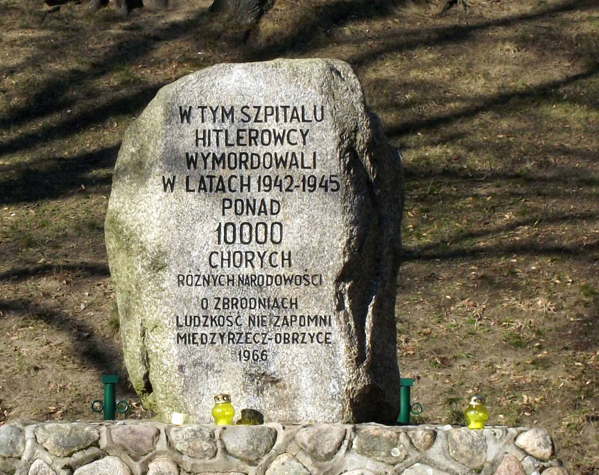 Pomnik ofiar nazistów (akcja T4) w Obrzycach - cmentarz w miedzyrzeczu obrzycach