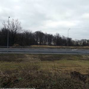 Cmentarz żydowski w Międzyrzeczu - cmentarz zydowski w miedzyrzeczu 4