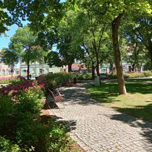 Rynek w Międzyrzeczu - rynek w miedzyrzeczu 10