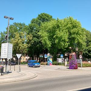 Rynek w Międzyrzeczu - rynek w miedzyrzeczu 12
