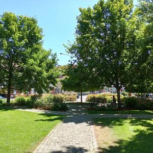 Rynek w Międzyrzeczu - rynek w miedzyrzeczu 5