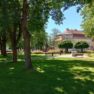 Rynek w Międzyrzeczu - rynek w miedzyrzeczu 7
