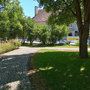 Rynek w Międzyrzeczu - rynek w miedzyrzeczu 9