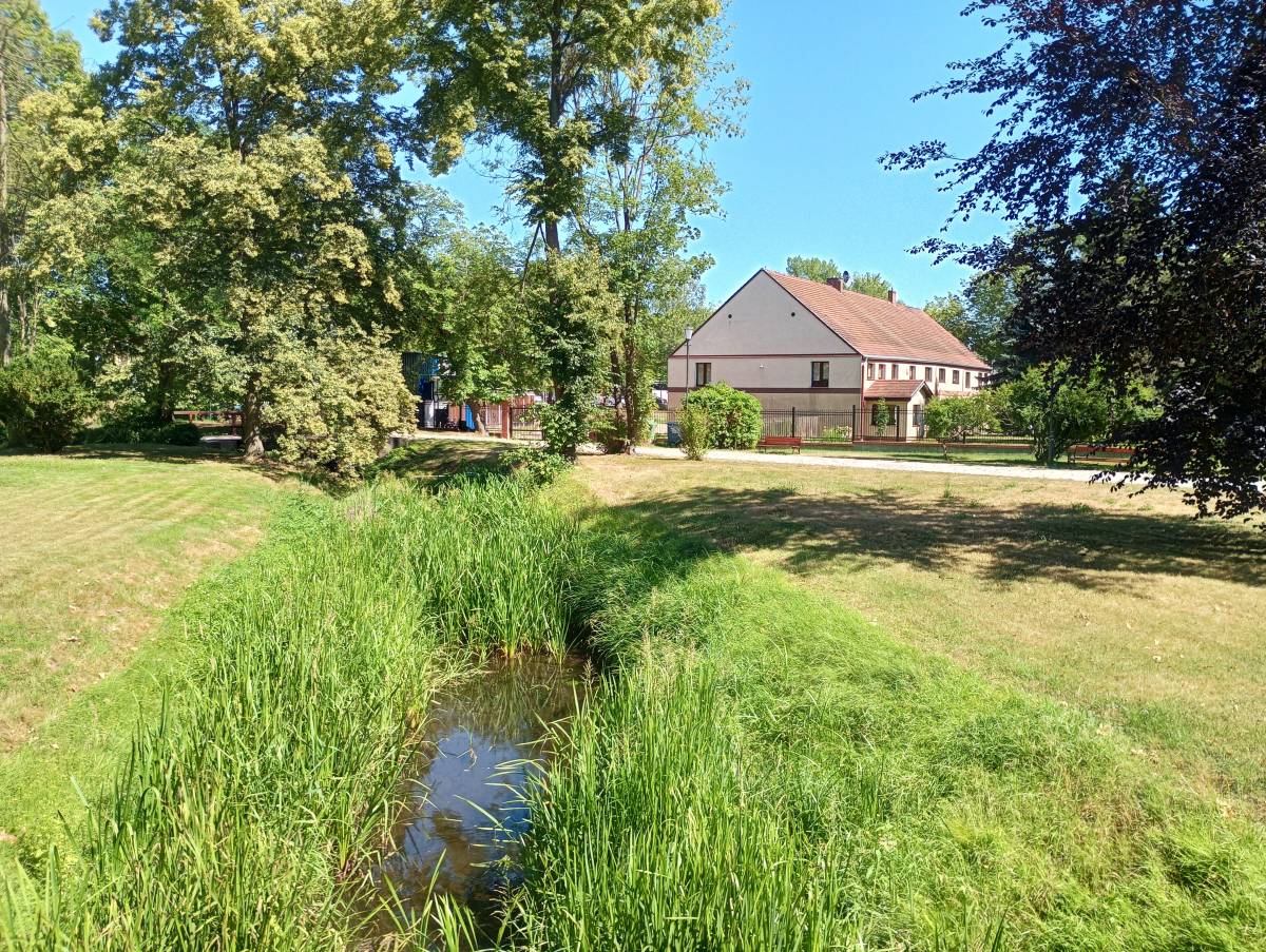 Park Zamkowy w Międzyrzeczu - park zamkowy w miedzyrzeczu 9