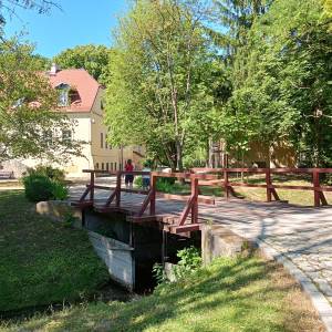 Park Zamkowy w Międzyrzeczu - park zamkowy w miedzyrzeczu 1