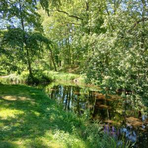 Park Zamkowy w Międzyrzeczu - park zamkowy w miedzyrzeczu 10