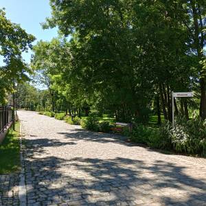 Park Zamkowy w Międzyrzeczu - park zamkowy w miedzyrzeczu 13