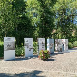 Park Zamkowy w Międzyrzeczu - park zamkowy w miedzyrzeczu 14