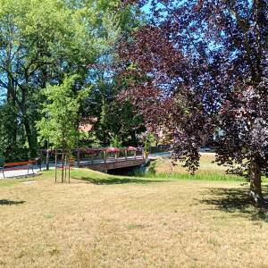 Park Zamkowy w Międzyrzeczu - park zamkowy w miedzyrzeczu 16