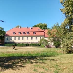 Park Zamkowy w Międzyrzeczu - park zamkowy w miedzyrzeczu 17