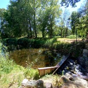 Park Zamkowy w Międzyrzeczu - park zamkowy w miedzyrzeczu 2