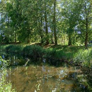 Park Zamkowy w Międzyrzeczu - park zamkowy w miedzyrzeczu 3