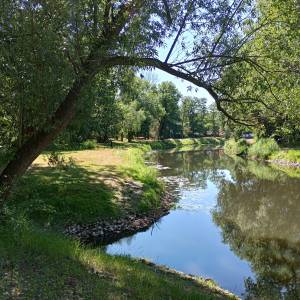 Park Zamkowy w Międzyrzeczu - park zamkowy w miedzyrzeczu 4