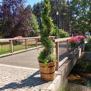 Park Zamkowy w Międzyrzeczu - park zamkowy w miedzyrzeczu 7