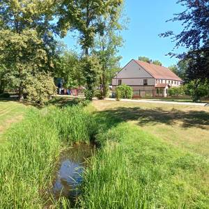 Park Zamkowy w Międzyrzeczu - park zamkowy w miedzyrzeczu 9
