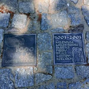 Dom bramny w Międzyrzeczu - dom bramny w miedzyrzeczu 1