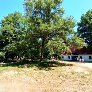 Dom bramny w Międzyrzeczu - dom bramny w miedzyrzeczu 8