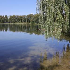 Plaża w Bobowicku - plaza w bobowicku 5
