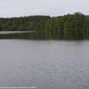 Jezioro Bobowickie - jezioro bobowickie 1