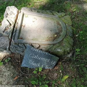 Stary cmentarz ewangelicki w Gorzycy - stary cmentarz ewangelicki w gorzycy 4