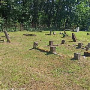 Stary cmentarz ewangelicki w Gorzycy - stary cmentarz ewangelicki w gorzycy 6