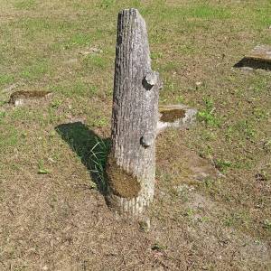 Stary cmentarz ewangelicki w Gorzycy - stary cmentarz ewangelicki w gorzycy 8