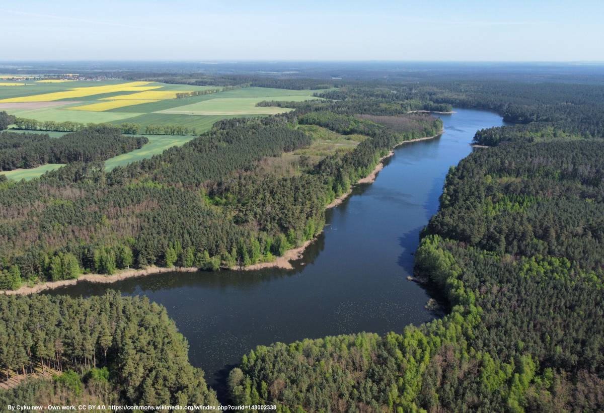 Jezioro Krzewie - jezioro krzewie 4