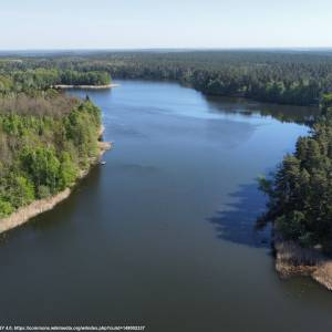 Jezioro Krzewie - jezioro krzewie 3