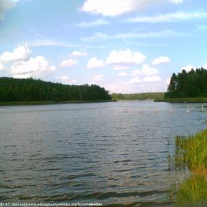 Jezioro Krzewie - jezioro krzewie 5