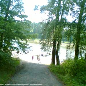 Jezioro Krzewie - jezioro krzewie 6