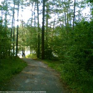 Jezioro Krzewie - jezioro krzewie 7