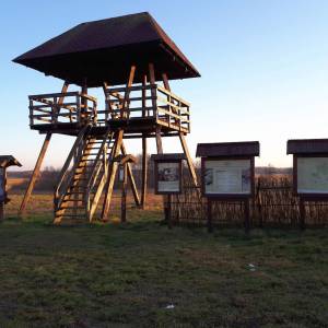 Wieża widokowa Karczunek - wieza widokowa karczunek6