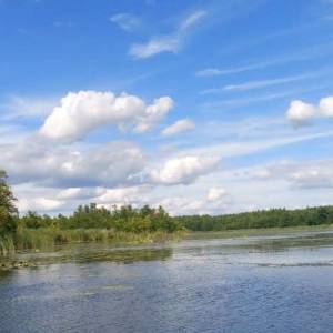 Jezioro Bukowieckie - jezioro bukowieckie 4