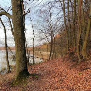 Jezioro Bukowieckie - jezioro bukowieckie 5