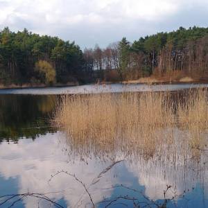 Jezioro Bukowieckie - jezioro bukowieckie 8