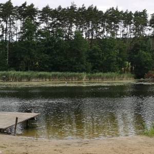 Dzika plaża w Kęszycy Leśnej - dzika plaza w keszycy lesnej 1