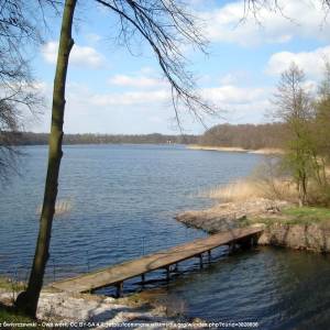 Jezioro Goszcza - jezioro goszcza 5
