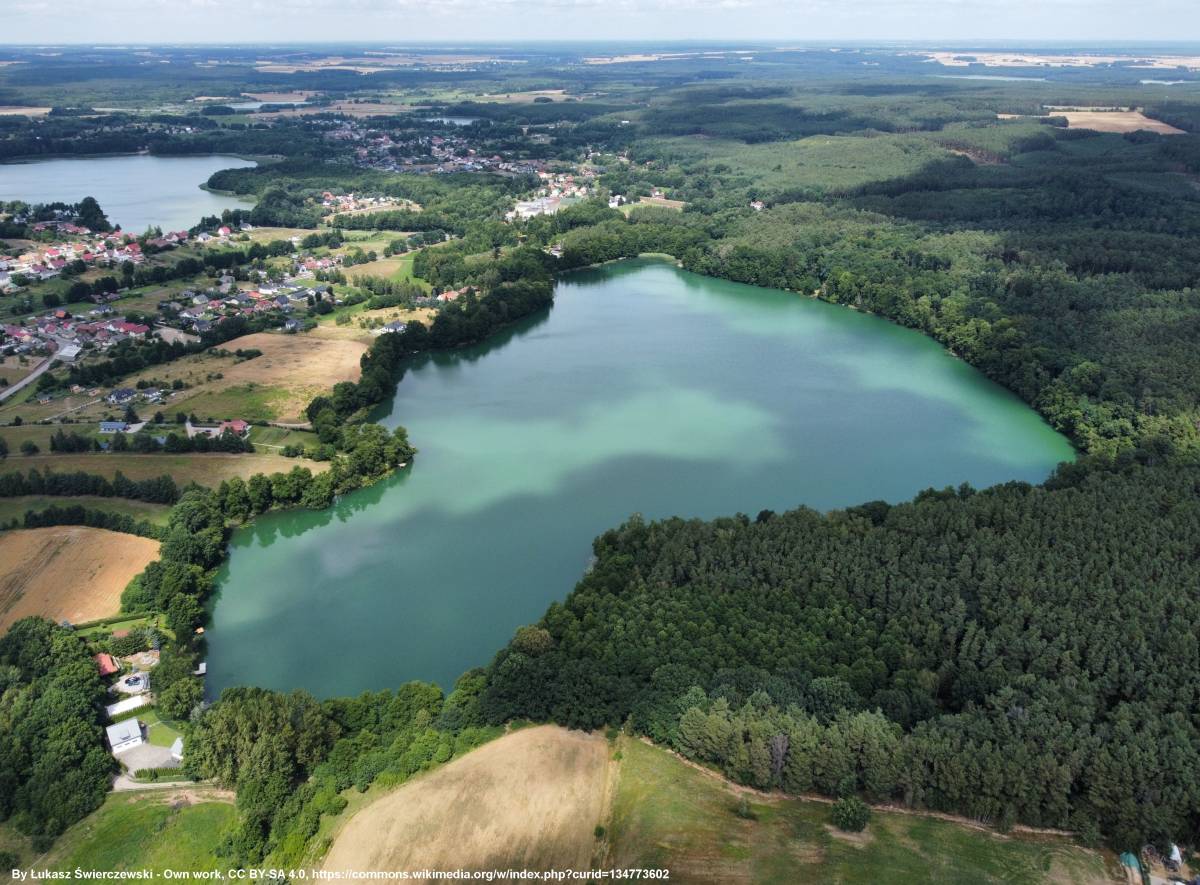 Jezioro Lubie - jezioro lubie 8