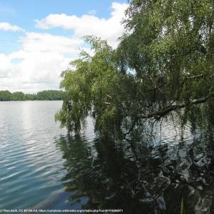 Jezioro Lubie - jezioro lubie 2