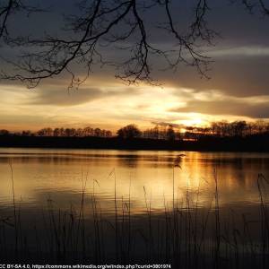 Jezioro Lubie - jezioro lubie 3