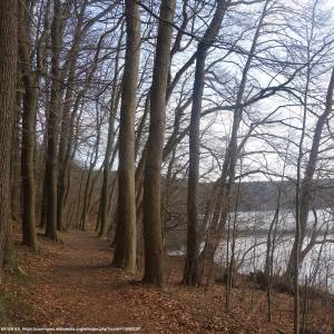 Jezioro Lubie - jezioro lubie 4